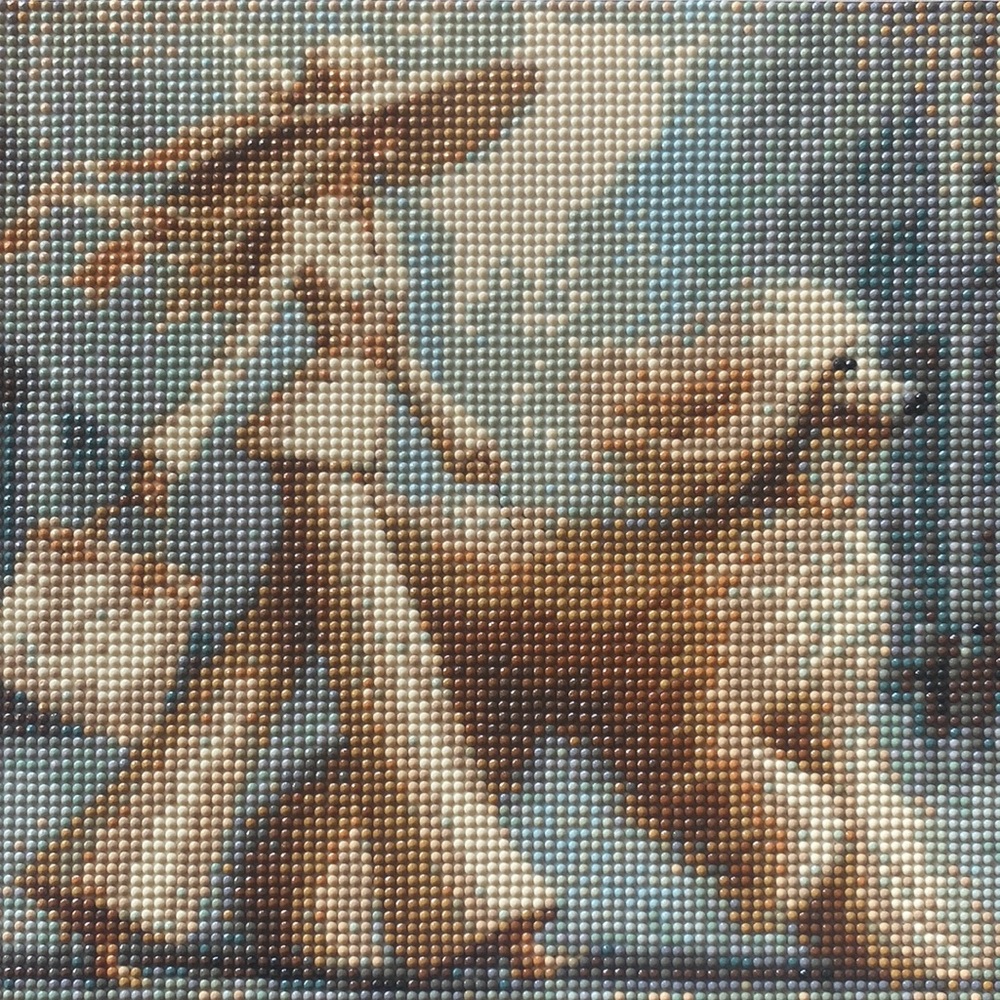 Stylish Lady Walking Afghan Hound  Diamond Dot Art Picture Painting